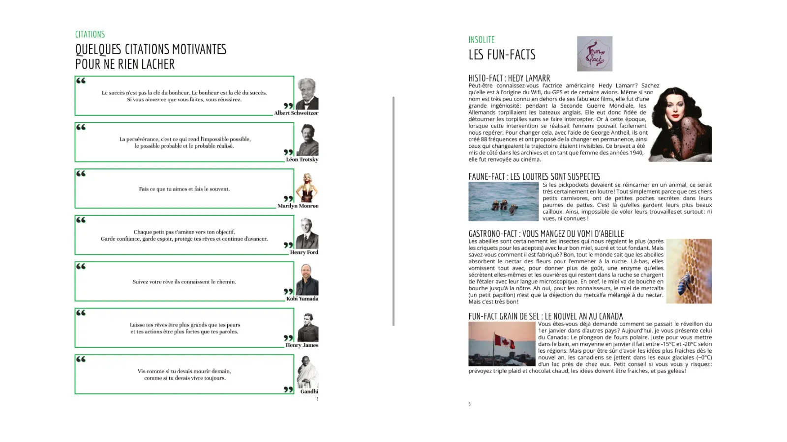 Principes de grille et de mise en page de la publication